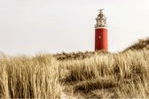 Aluminium Schilderij Vuurtoren Texel