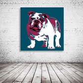 Bulldog Pop Art Acrylglas - 80 x 80 cm op Acrylaat glas + Inox Spacers / RVS afstandhouders - Popart Wanddecoratie