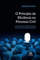 O Princípio da Eficiência no Processo Civil