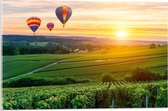 Acrylglas - Regenboogkleurige Luchtballonnen boven Landschap - 60x40cm Foto op Acrylglas (Wanddecoratie op Acrylglas)
