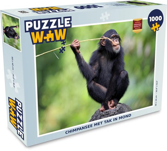 Puzzel Chimpansee met tak in mond - Legpuzzel - Puzzel 1000 stukjes  volwassenen | bol.com