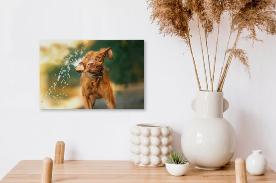 Canvas Schilderij Nat - Hond - Water - 30x20 cm - Wanddecoratie