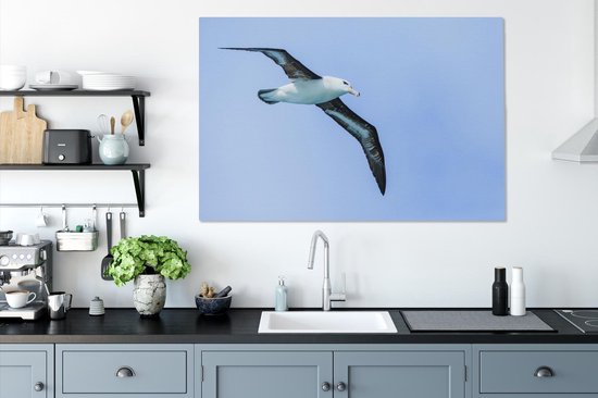 Canvas Schilderij Albatros - Vliegen - Dieren - 140x90 cm - Wanddecoratie - OneMillionCanvasses