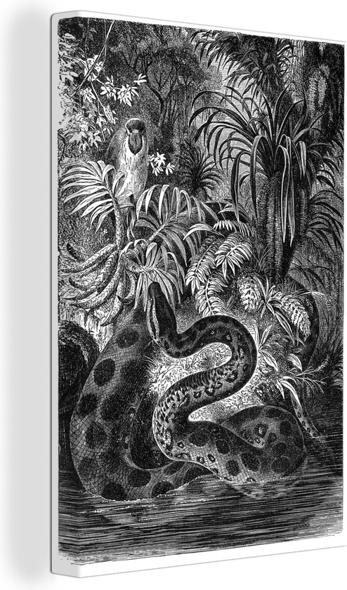 Canvas Schilderij Illustratie van een anaconda in het zwart-wit - 80x120 cm - Wanddecoratie