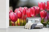 Behang - Fotobehang Roze tulpenbloemen - Breedte 330 cm x hoogte 220 cm