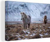 Canvas Schilderij IJsland - Paarden - Sneeuw - 30x20 cm - Wanddecoratie