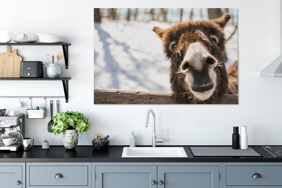 Toile d'âne curieux 2cm 120x80 cm - Tirage photo sur toile (Décoration murale salon / chambre) / Peintures sur toile animaux sauvages