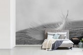 Papier peint Papier peint photo en vinyle - Gros plan d'une plume tourbillonnante largeur 360 cm x hauteur 240 cm - Tirage photo sur papier peint (disponible en 7 tailles)