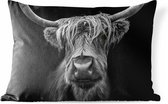 Buitenkussens - Tuin - Close-up van een Schotse hooglander in zwart-wit - 50x30 cm