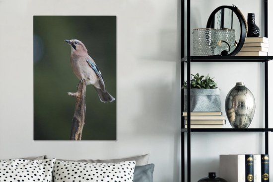 Jay sur une branche 60x90 cm - Tirage photo sur toile (Décoration murale salon / chambre)