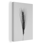 Canvas Schilderij Planten - Riet - Natuur - Zwart wit - 80x120 cm - Wanddecoratie
