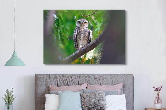 Owl assis sur la branche toile 2cm 150x100 cm - impression photo sur toile peinture (Décoration murale salon / chambre à coucher) / Animaux sauvages Peintures Toile