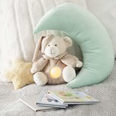 Teddybeer LED nachtlampje 23cm inclusief batterijen - Overig - grijs - Rose - Beige - SILUMEN