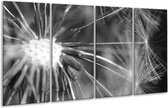 GroepArt - Glasschilderij - Bloem - Grijs, Zwart - 160x80cm 4Luik - Foto Op Glas - Geen Acrylglas Schilderij - 6000+ Glasschilderijen Collectie - Wanddecoratie