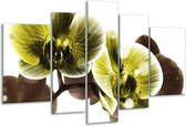 Peinture sur verre d'orchidée | Jaune, gris | 170x100cm 5 Liège | Tirage photo sur verre |  F005081