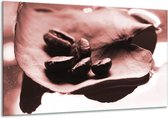 Peinture sur verre Grains de café, Cuisine | Marron, rouge | 120x70cm 1Hatch | Tirage photo sur verre |  F006647