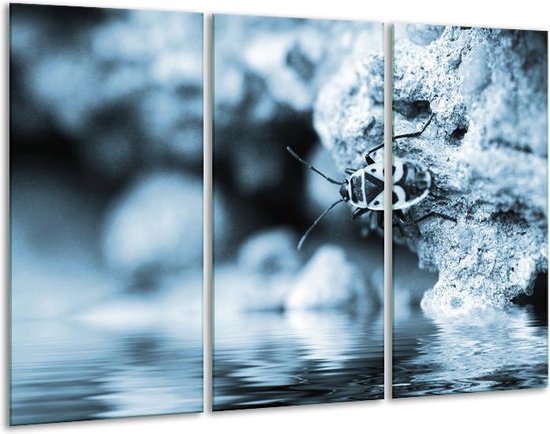 Glasschilderij Insect - Blauw, Grijs - 120x80cm 3Luik - Foto Op Glas - Geen Acrylglas Schilderij - GroepArt 6000+ Glas Art Collectie - Maatwerk Mogelijk