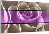 Peinture sur verre rose | Violet, gris | 120x70cm 1Hatch | Tirage photo sur verre |  F004467