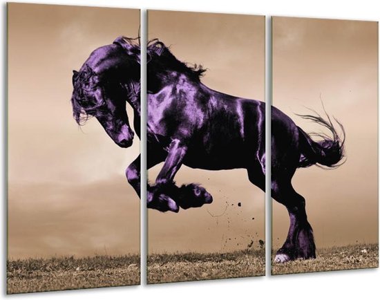 Glasschilderij Paard | Paars, Grijs, Zwart | | Foto print op Glas |  F002671