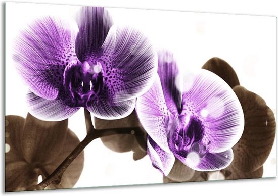Glasschilderij Orchidee - Paars, Grijs - 120x70cm 1Luik - Foto Op Glas - Geen Acrylglas Schilderij - GroepArt 6000+ Glasschilderijen Art Collectie - Wanddecoratie - Woonkamer - Slaapkamer
