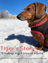 1 1 - Tiger's Story "Finding my Forever Home"