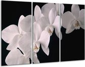 GroepArt - Schilderij -  Orchidee - Wit, Zwart - 120x80cm 3Luik - 6000+ Schilderijen 0p Canvas Art Collectie