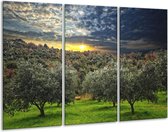 GroepArt - Schilderij -  Natuur - Groen, Geel, Blauw - 120x80cm 3Luik - 6000+ Schilderijen 0p Canvas Art Collectie