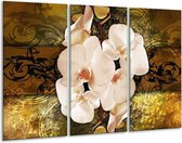 GroepArt - Schilderij -  Orchidee - Bruin, Goud, Crème - 120x80cm 3Luik - 6000+ Schilderijen 0p Canvas Art Collectie
