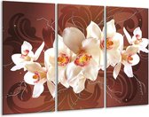GroepArt - Schilderij -  Orchidee - Bruin, Crème - 120x80cm 3Luik - 6000+ Schilderijen 0p Canvas Art Collectie