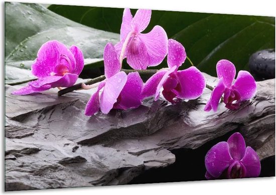 Canvas schilderij Orchidee | Zwart, Roze, Grijs | | F004026