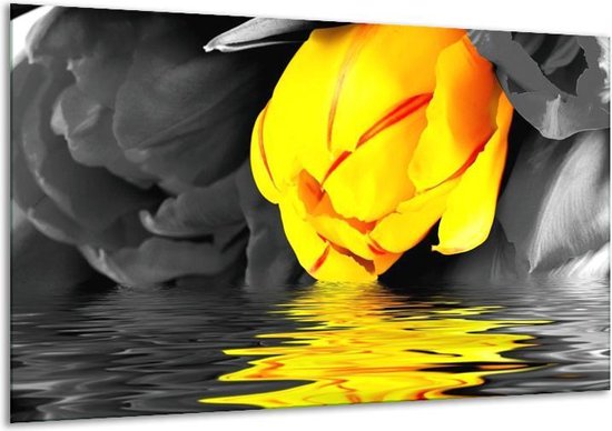 Canvas schilderij Tulpen | Geel, Grijs, Zwart | | F002896