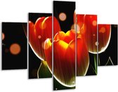 Glasschilderij -  Tulp - Oranje, Geel, Rood - 100x70cm 5Luik - Geen Acrylglas Schilderij - GroepArt 6000+ Glasschilderijen Collectie - Wanddecoratie- Foto Op Glas