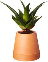 Boskke Flipped Planter - Terracotta bloempot - Ø 8.5 cm - 15.5 cm
