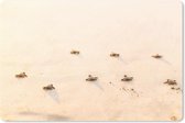 Muismat Schildpad - Baby schildpadden fotoprint muismat rubber - 27x18 cm - Muismat met foto