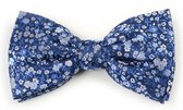 Strik zijden blauw