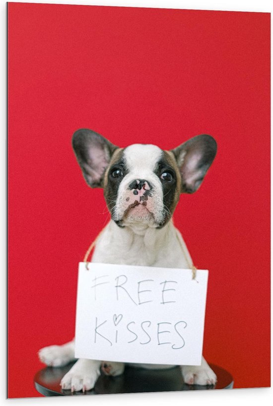 Dibond - Bulldog op Rode Achtergrond met ''Free Kisses'' Bord - 80x120cm Foto op Aluminium (Wanddecoratie van metaal)