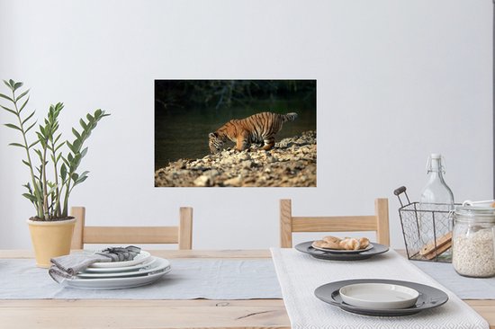 Sticker Muursticker Bébé tigre - bébé abeille tigre - 60x40 cm - feuille autocollante - sticker mural repositionnable