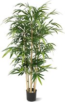 Bamboe 150cm