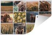 Posters de jardin Scottish Highlander - Collage - Fleurs - Jardin - 90x60 cm
