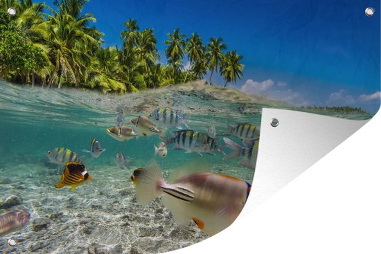 Tuinposter 120x80 cm - Tuindecoratie Strand - Vissen - Tropisch - Poster voor in de tuin - Buiten decoratie - Schutting tuinschilderij - Tuindoek muurdecoratie - Wanddecoratie balkondoek