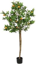 Countryfield Kunstplant Citrus Sinensis S 70 X 170 Cm Groen/Oranje