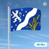 Vlag Haarlemmermeer 120x180cm