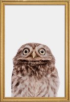 JUNIQE - Poster met houten lijst Owl -30x45 /Bruin