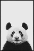 JUNIQE - Poster met kunststof lijst Panda II -13x18 /Wit & Zwart