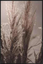 JUNIQE - Poster in kunststof lijst Pampas Reed 06 -30x45 /Bruin