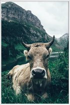 JUNIQE - Poster met kunststof lijst A Natural Habitat -13x18 /Bruin &
