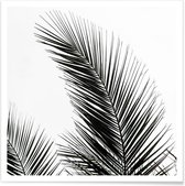 JUNIQE - Poster Palm Leaves 1 -50x50 /Groen & Wit