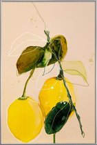 JUNIQE - Poster met kunststof lijst Aquarel citroen -20x30 /Geel &