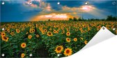 Tuinposter Zonnebloemen (Zonnebloemveld) 100 x 50 cm incl. Metalen ringen - (Buitenposter - Tuindoek - Buitencanvas - Schilderijen voor buiten - tuin decoratie)