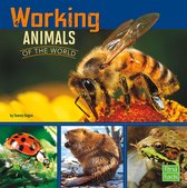 All About Animals - Working Animals of the World